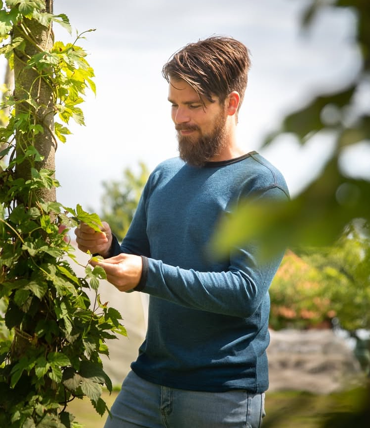 Petrol - Merino - Herrabolur